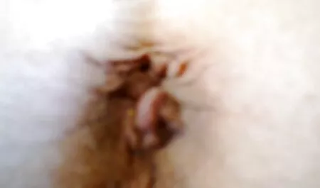 نحيل العملة على شفرة المنشار سكس فرنسي فلم كامل بطة