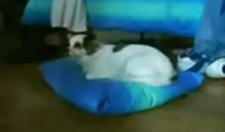 مثير وسعيد أمام فلم جنس اسباني الكاميرا