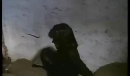 بينما تنام الزوجة في مكان قريب ، فيلم مترجم جنس يقتل زوج الأم الطباخ الشاب.